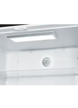 Electrolux 497L 4 Door Refrigerator