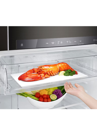 LG 506L Smart Inverter Compressor™ Top Mount Fridge