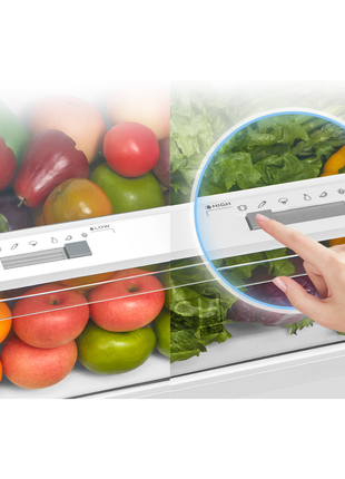 Midea 268L Top Mounted Fridge