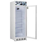 Tecno 285L Frost Free Commercial Cooler Showcase | WineFridgeSG