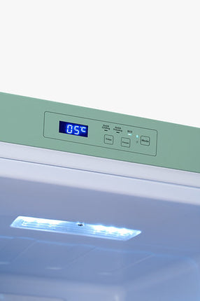 EuropAce 170L Retro 2-Door Fridge (Light Green)